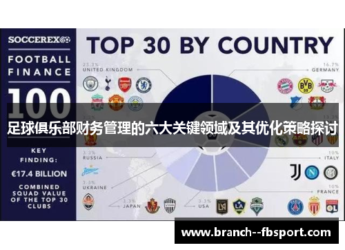 足球俱乐部财务管理的六大关键领域及其优化策略探讨