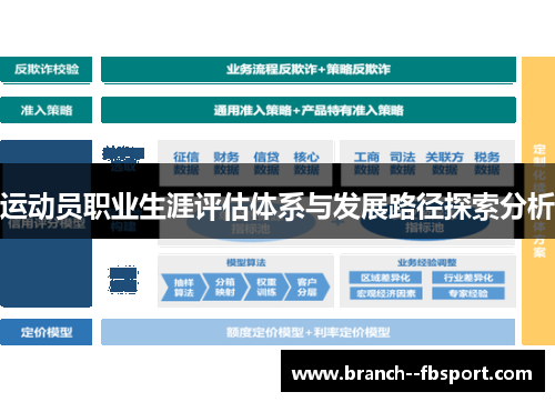 运动员职业生涯评估体系与发展路径探索分析 运动员职业生涯评估体系与发展路径探索分析