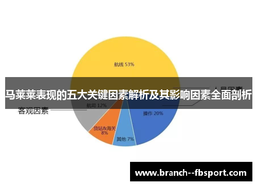 马莱莱表现的五大关键因素解析及其影响因素全面剖析