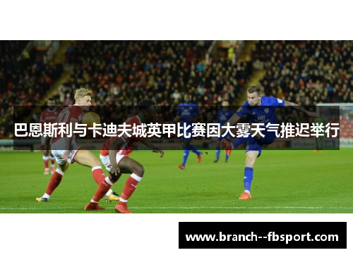 巴恩斯利与卡迪夫城英甲比赛因大雾天气推迟举行