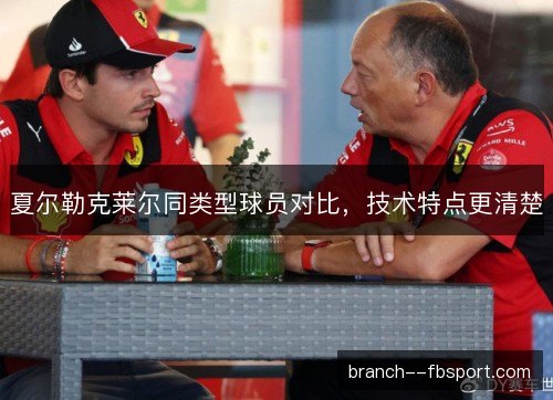 夏尔勒克莱尔同类型球员对比,技术特点更清楚 夏尔勒克莱尔同类型球员对比,技术特点更清楚