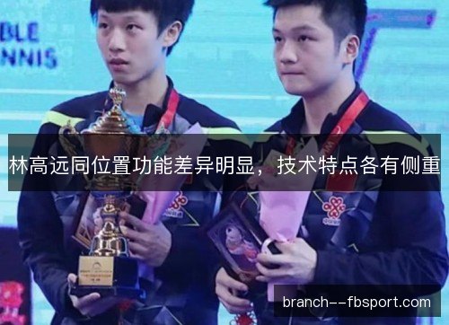 林高远同位置功能差异明显，技术特点各有侧重